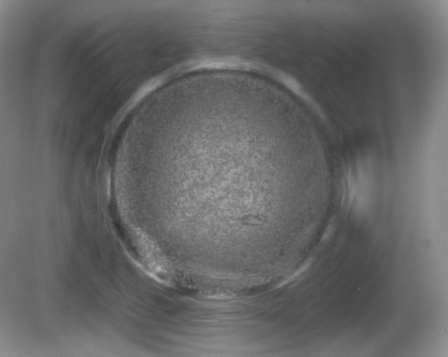 X0000082681221200702021218