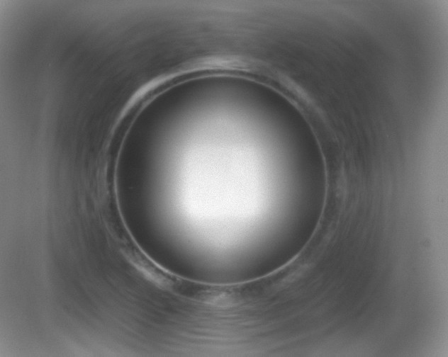 X0000082681222200702021218