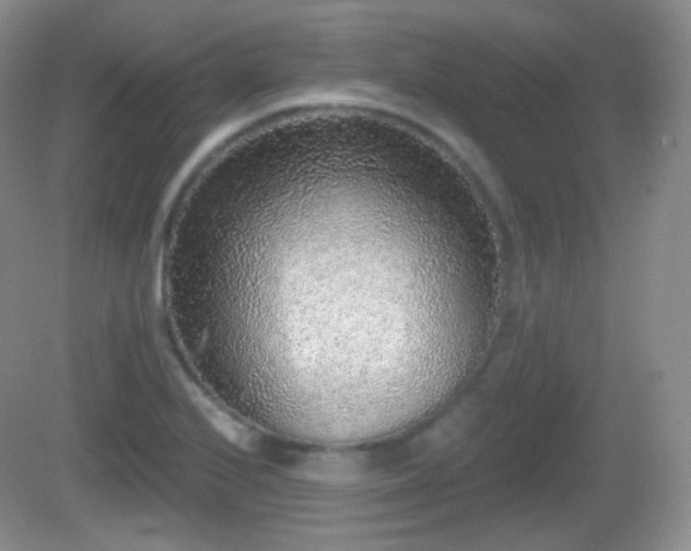 X0000082681224200702021218
