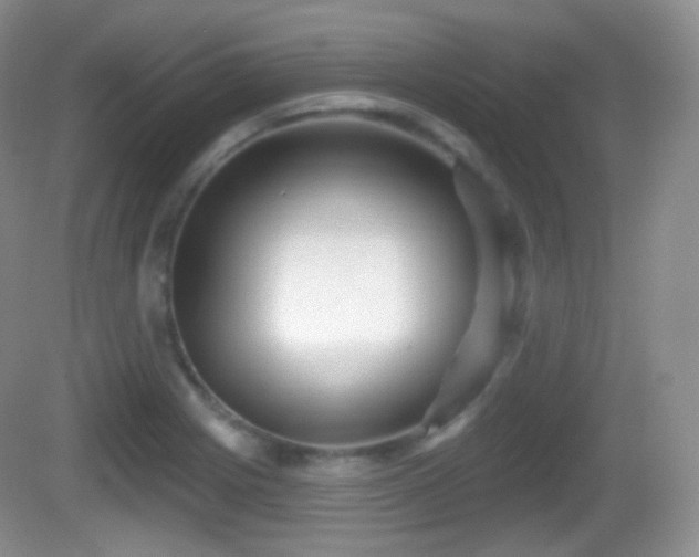 X0000082681225200702021218