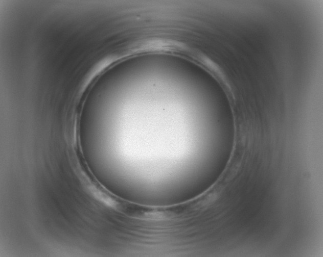 X0000082681227200702021218