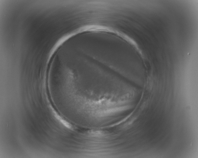 X0000082681231200702021218