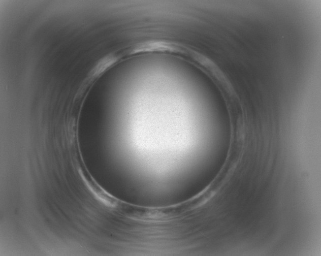 X0000082681233200702021218