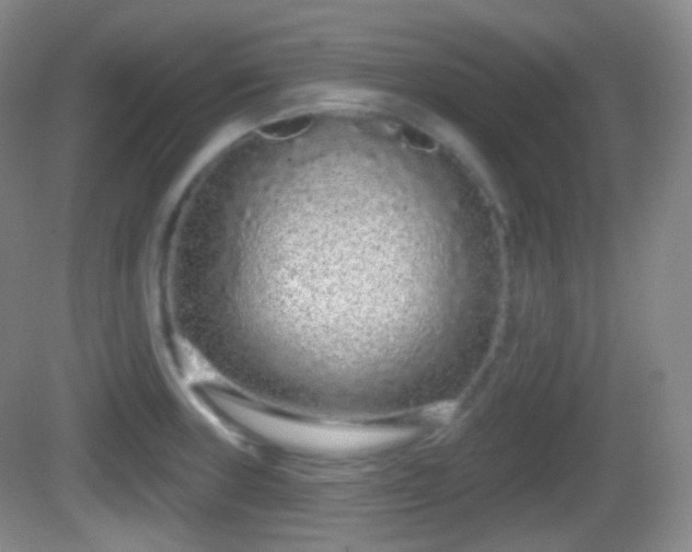 X0000082681235200702021218