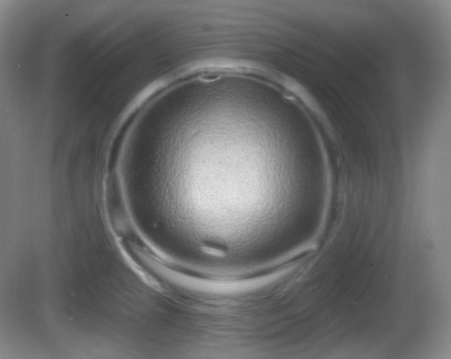 X0000082681237200702021218