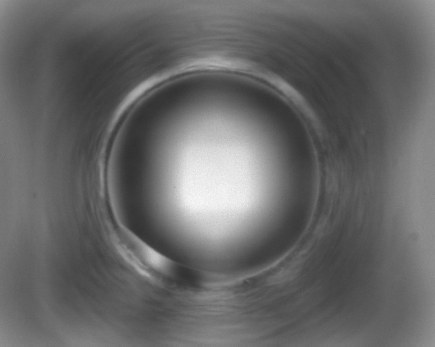 X0000082681238200702021218