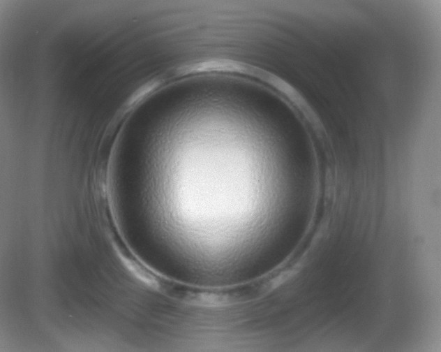 X0000082681241200702021218