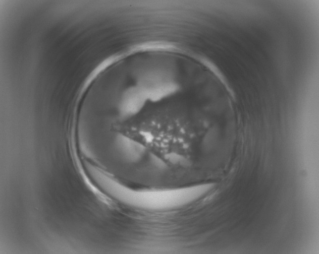 X0000082681245200702021218