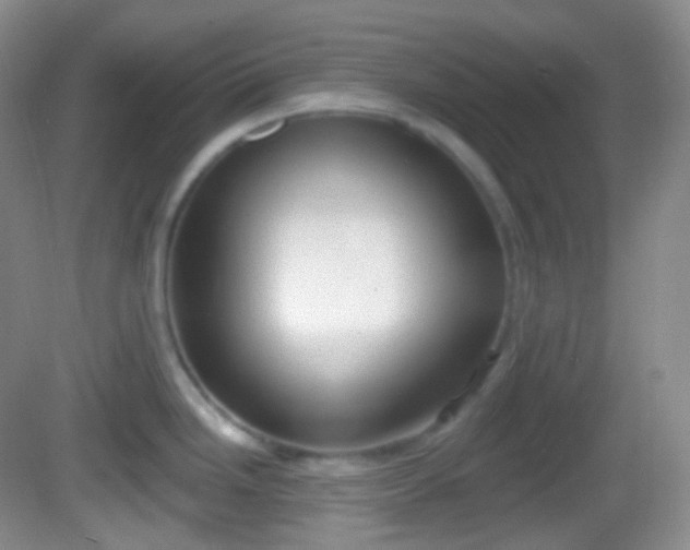 X0000082681246200702021218
