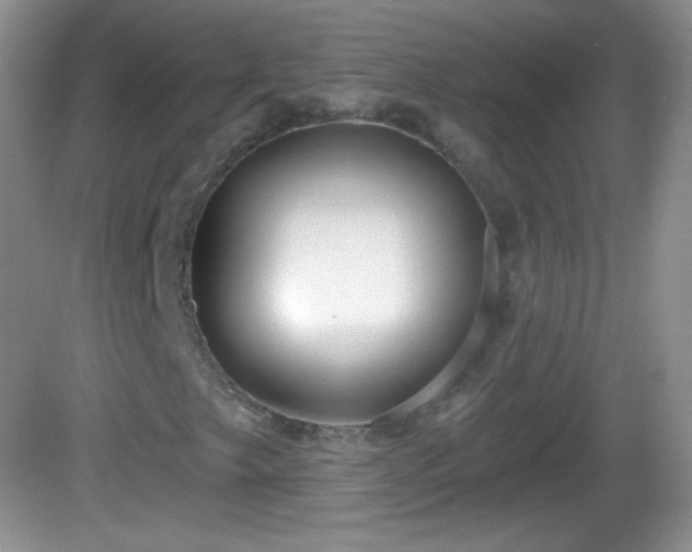 X0000082681249200702021217