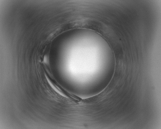 X0000082681250200702021217