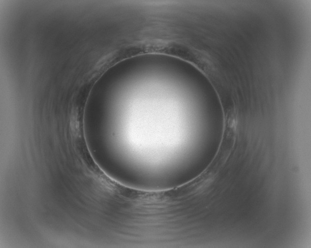 X0000082681252200702021217