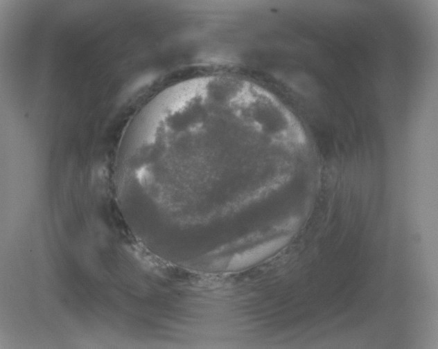 X0000082681254200702021217