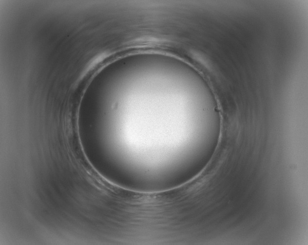 X0000082681259200702021217