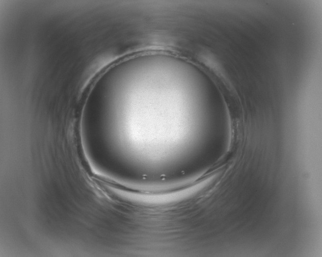 X0000082681260200702021217