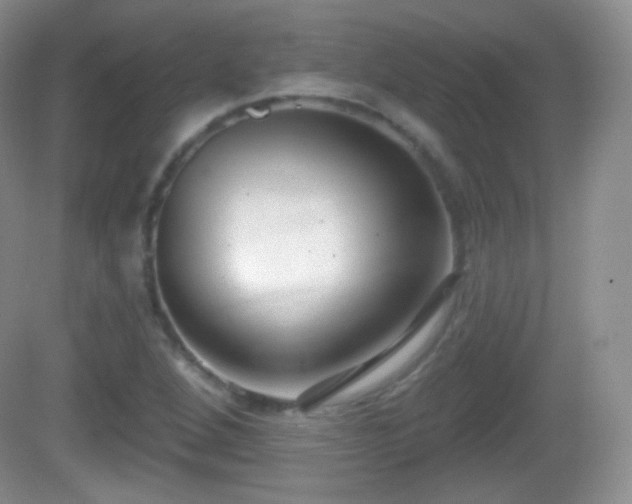 X0000082681264200702021217