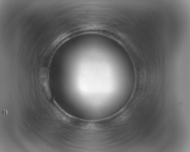 X0000082681265200702021217