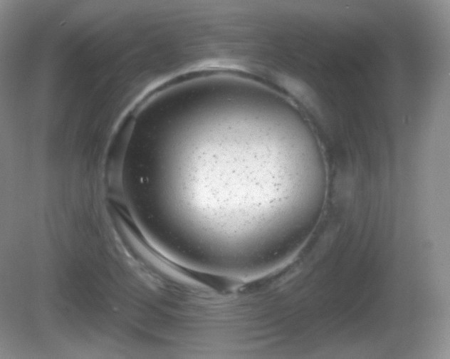 X0000082681268200702021217
