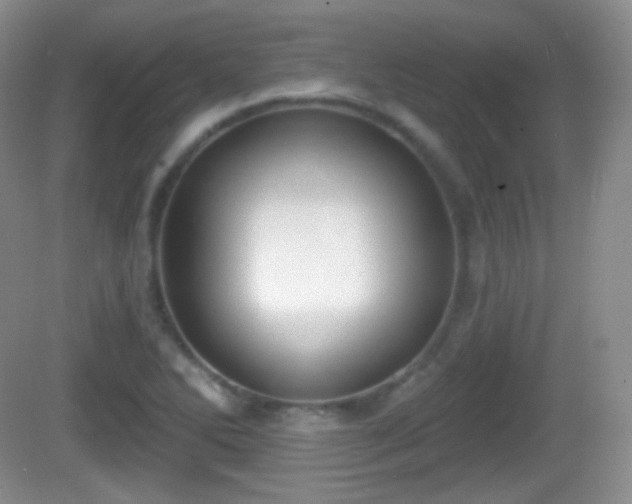 X0000082681270200702021217