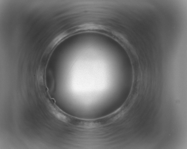X0000082681273200702021217