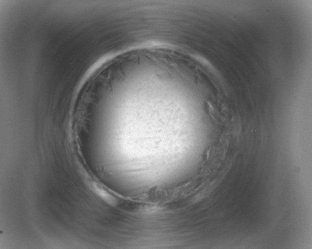 X0000082681278200702021217