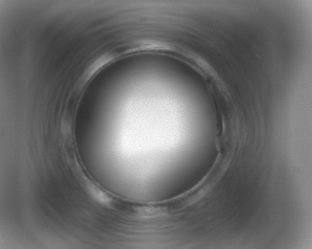 X0000082681281200702021217
