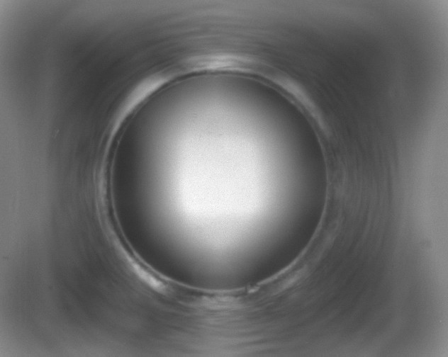 X0000082681285200702021217