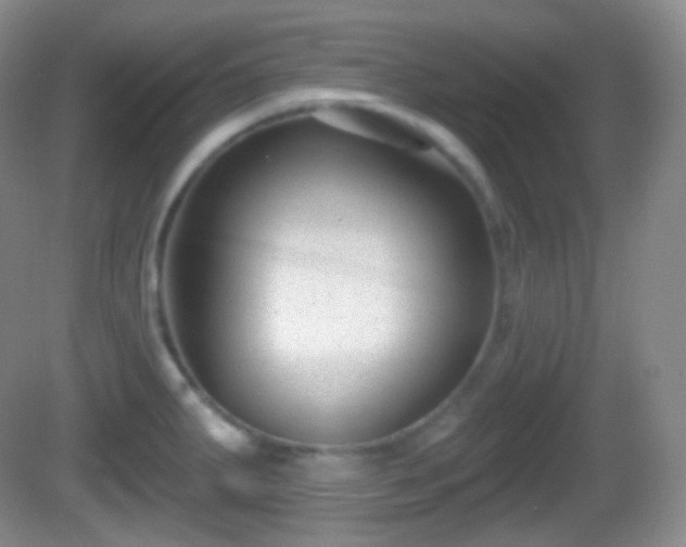 X0000082681287200702021217