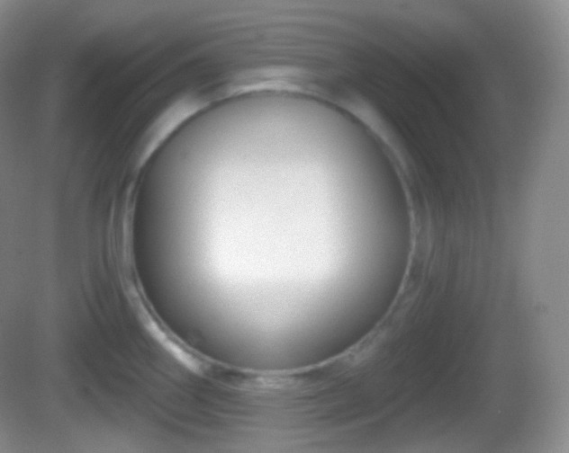 X0000082681290200702021217