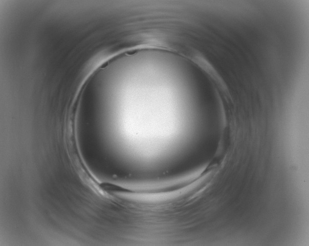 X0000082681292200702021217