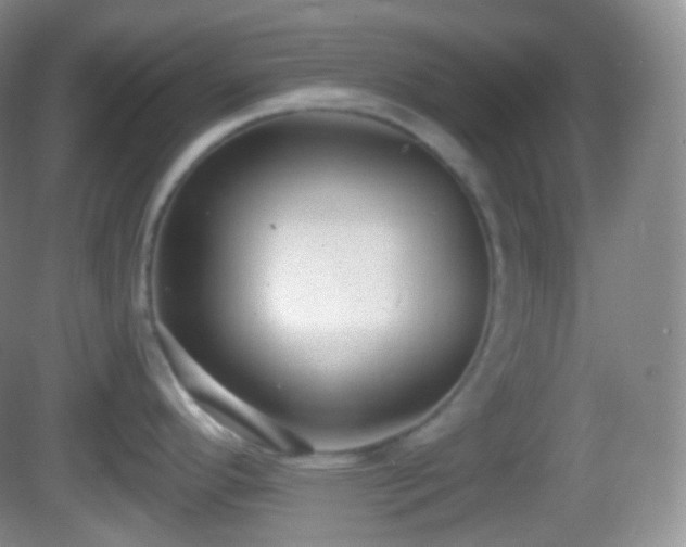 X0000082681296200702021217