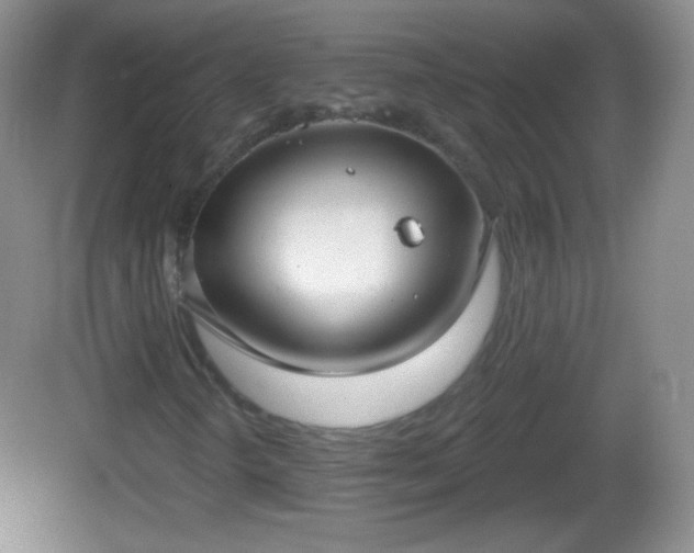 X0000082681298200702021216