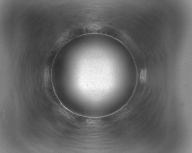 X0000082681299200702021216