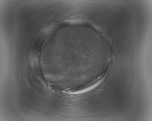 X0000082681300200702021216