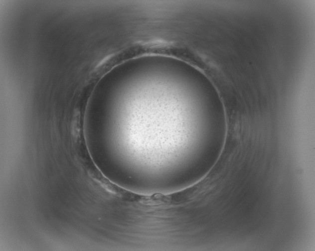 X0000082681301200702021216