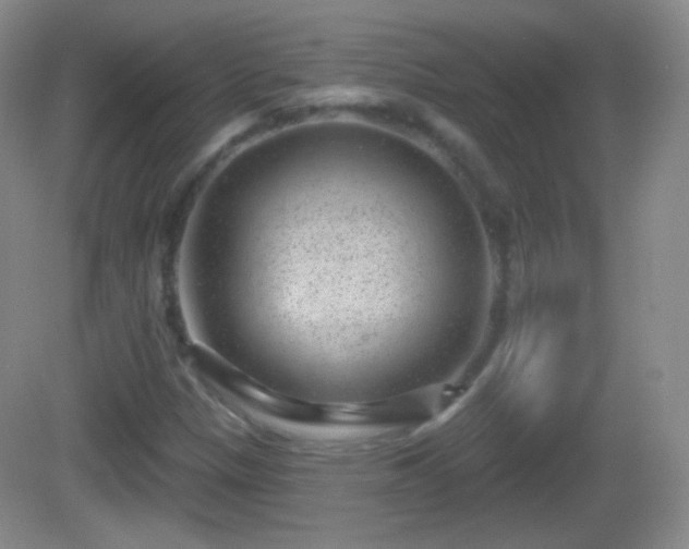 X0000082681305200702021216