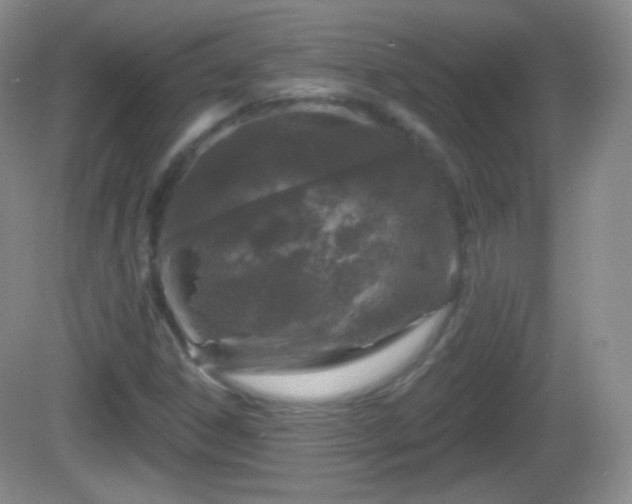 X0000082681306200702021216