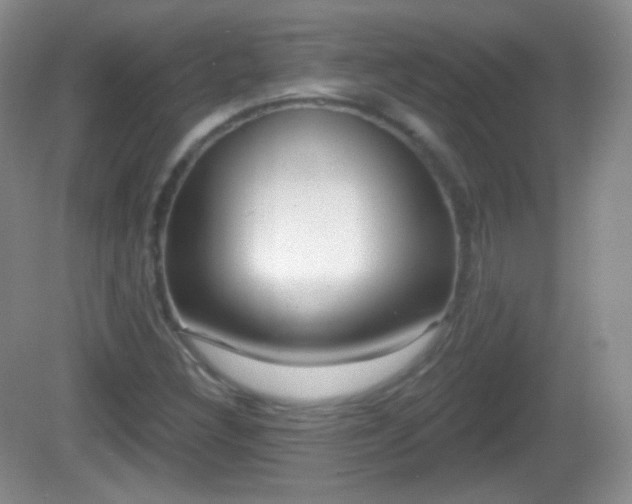 X0000082681308200702021216