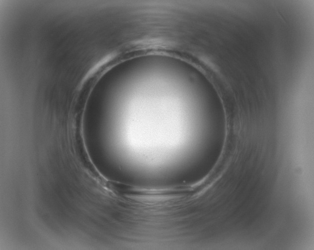 X0000082681309200702021216