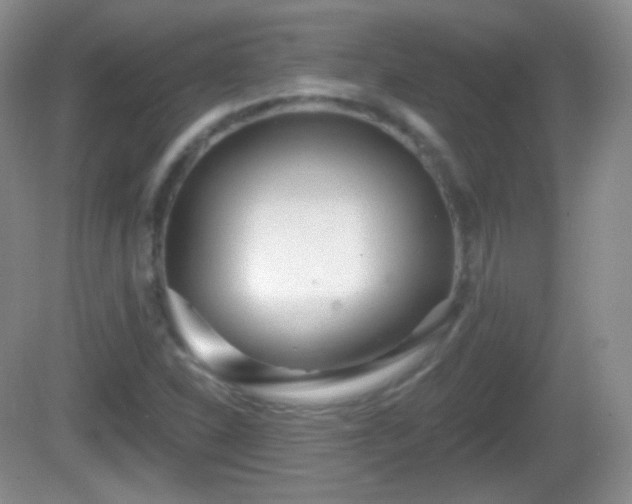 X0000082681310200702021216