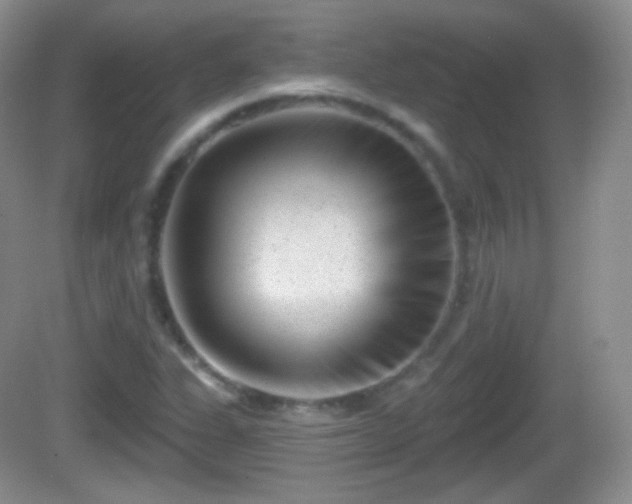 X0000082681311200702021216