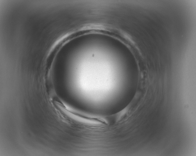 X0000082681312200702021216