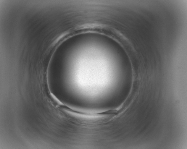 X0000082681313200702021216