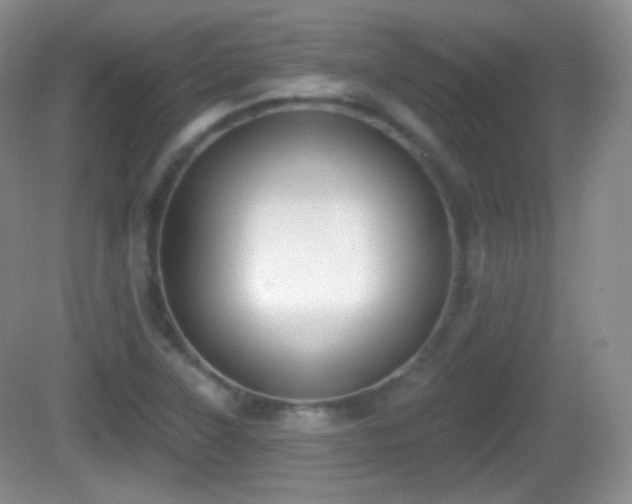 X0000082681315200702021216