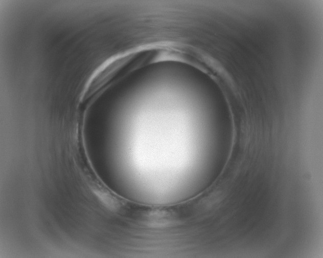X0000082681316200702021216