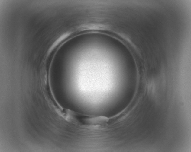X0000082681317200702021216
