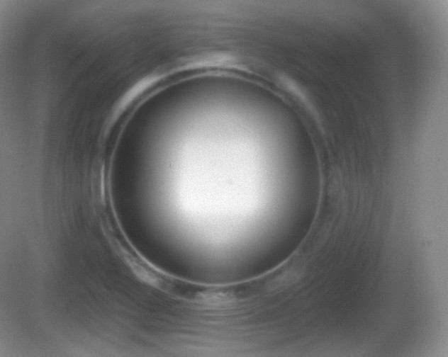 X0000082681320200702021216