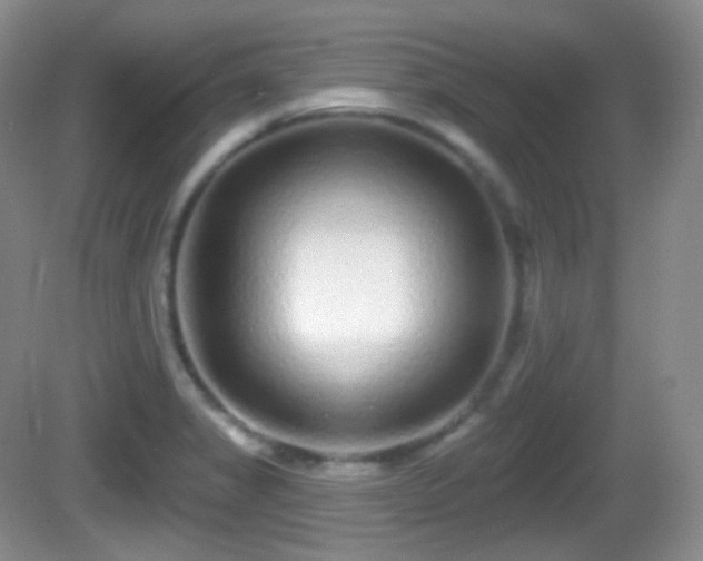 X0000082681325200702021216