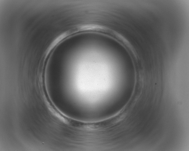 X0000082681330200702021216