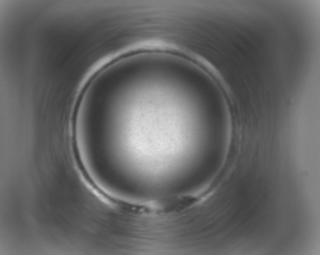 X0000082681335200702021217